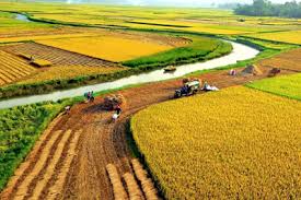 Phân tích đoạn trích Đất Nước trọn vẹn cả bài 2 Phân tích đoạn trích Đất Nước trọn vẹn cả bài