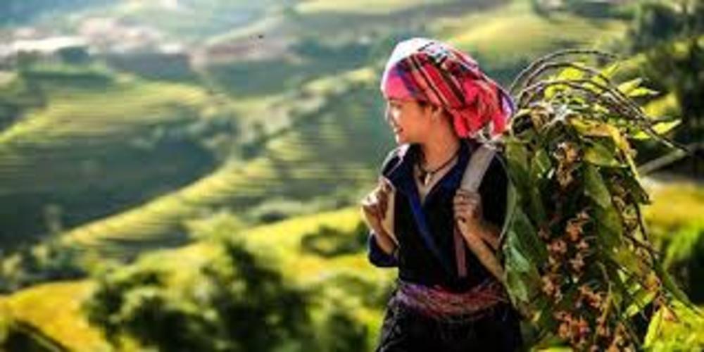 Hệ thống kiến thức bài thơ Việt Bắc 1 phân tích bài thơ việt bắc