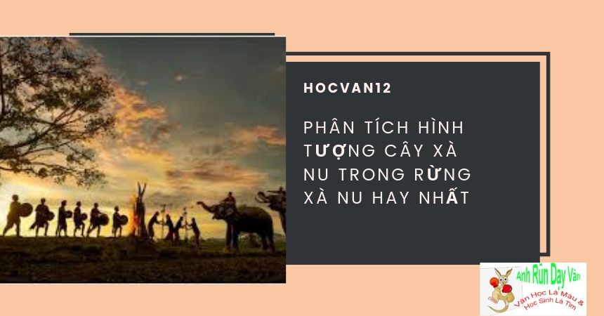 Phân tích hình tượng cây xà nu trong rừng xà nu hay nhất Phân tích hình tượng cây xà nu trong rừng xà nu hay nhất