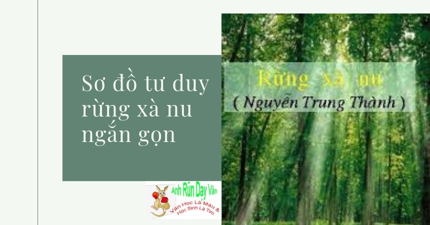 Sơ đồ tư duy Tự Tình (15) Sơ đồ tư duy rừng xà nu ngắn gọn