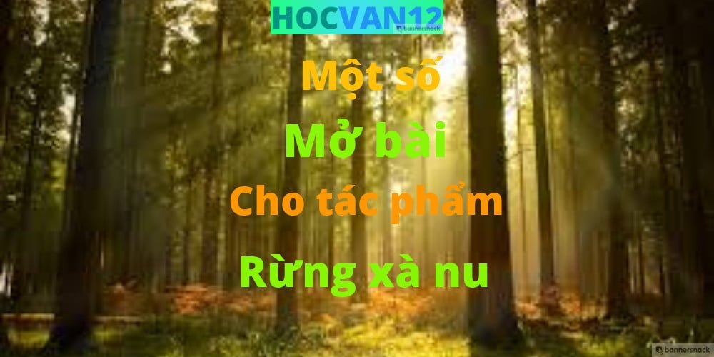 mở bài rừng xà nu mở bài rừng xà nu