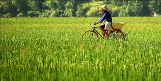 Phân tích 9 câu thơ đầu bài đất nước của Nguyễn Khoa Điềm 2 Phân tích 9 câu thơ đầu bài đất nước của Nguyễn Khoa Điềm