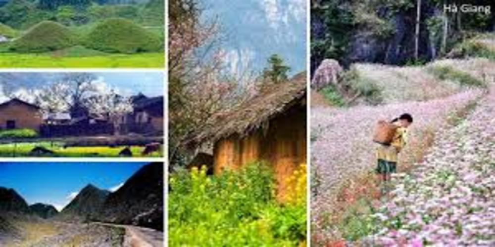 mở bài kết bài Việt bắc mở bài kết bài Việt bắc