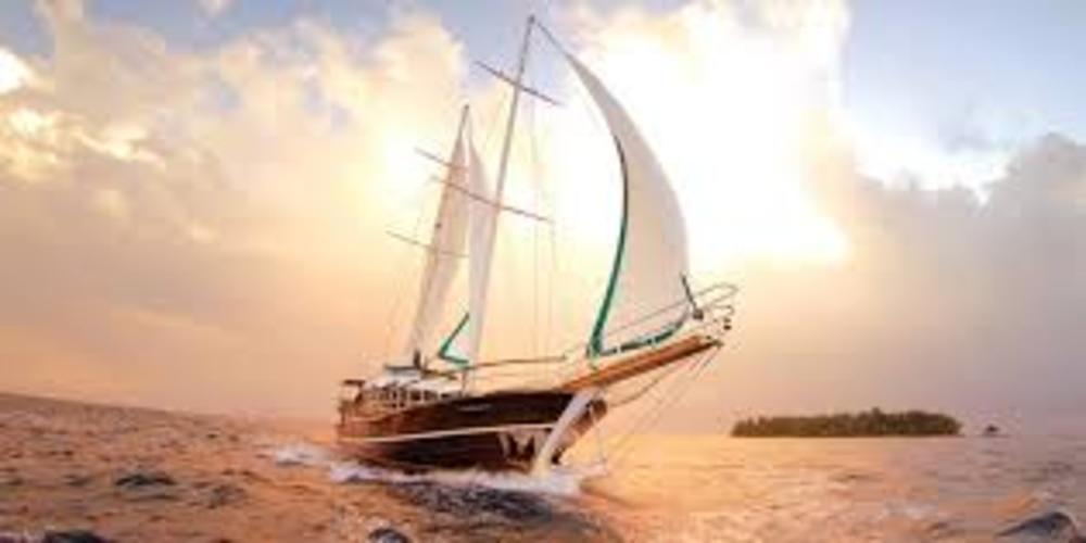 Đề Bài: Phân tích vẻ đẹp “chiếc thuyền lưới vó”ở đầu truyện Chiếc thuyền ngoài xa của Nguyễn Minh Châu mà nhân vật Phùng đã phát hiện ra và hình ảnh “những tấm ảnh tôi mang về”ở cuối truyện. Từ đó làm nổi bật thông điệp về mối quan hệ giữa nghệ thuật và cuộc sống. Đề Bài: Phân tích vẻ đẹp “chiếc thuyền lưới vó”ở đầu truyện Chiếc thuyền ngoài xa của Nguyễn Minh Châu mà nhân vật Phùng đã phát hiện ra và hình ảnh “những tấm ảnh tôi mang về”ở cuối truyện. Từ đó làm nổi bật thông điệp về mối quan hệ giữa nghệ thuật và cuộc sống.