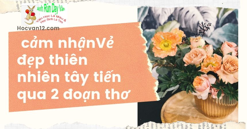 Vẻ đẹp thiên nhiên hùng vĩ và thơ mộng trong Tây Tiến qua 2 đoạn thơ Vẻ đẹp thiên nhiên hùng vĩ và thơ mộng trong Tây Tiến qua 2 đoạn thơ