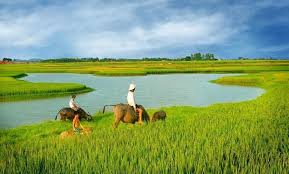 Đề thi Đất Nước theo hướng mới năm 2019 1 Đề thi Đất Nước theo hướng mới năm 2019
