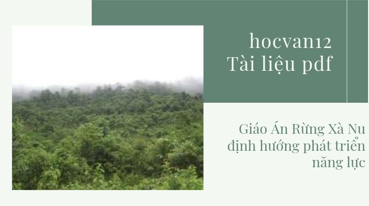Giáo Án Rừng Xà Nu định hướng phát triển năng lực Giáo Án Rừng Xà Nu định hướng phát triển năng lực