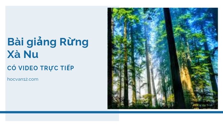 Bài Giảng Tuyên Ngôn Độc Lập đầy đủ tác giả tác phẩm (9) Bài giảng Rừng Xà Nu
