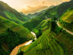 Bài giảng Tây Tiến ngắn gọn dễ hiểu 1 Bài giảng Tây Tiến