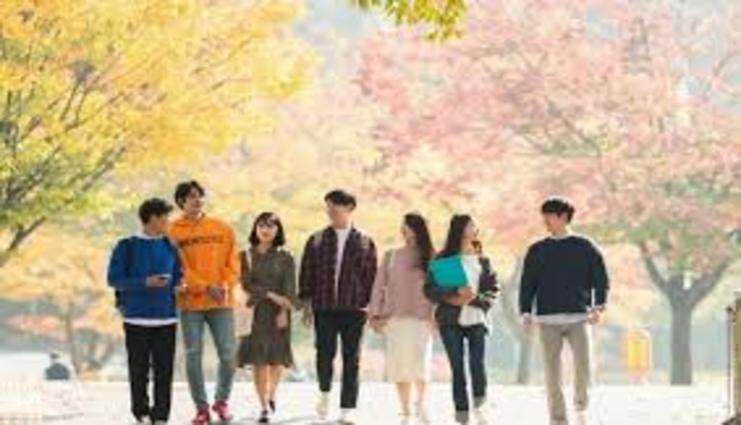 Du học Hàn Quốc nên chọn ngành gì Du học Hàn Quốc nên chọn ngành gì