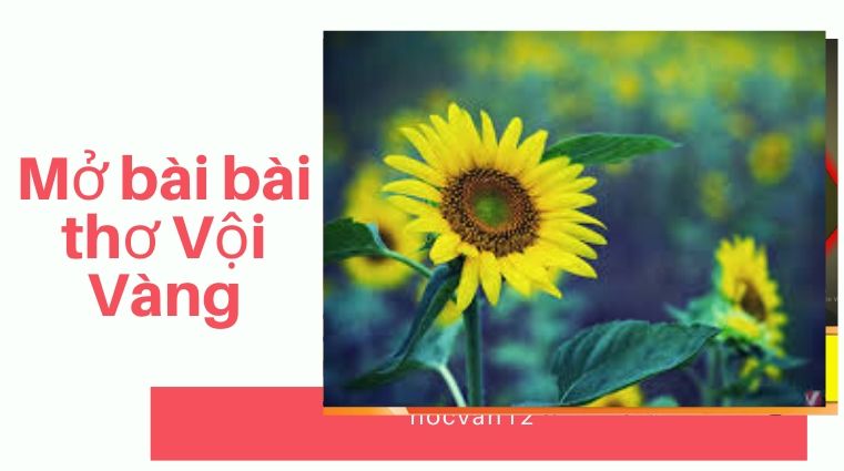 Mở bài bài thơ Vội Vàng Mở bài bài thơ Vội Vàng