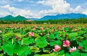 Dàn ý bài Nhàn ngữ văn 10 ngắn gọn dễ hiểu 1 Dàn ý bài Nhàn ngữ văn 10 ngắn gọn dễ hiểu
