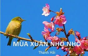 tải xuống (25)
